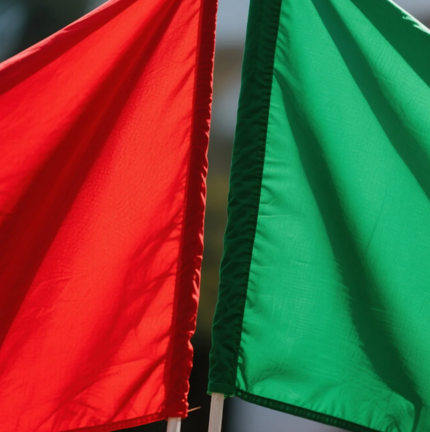 🟥🟩 Red Flags vs. Green Flags: How to Spot the Difference Early On